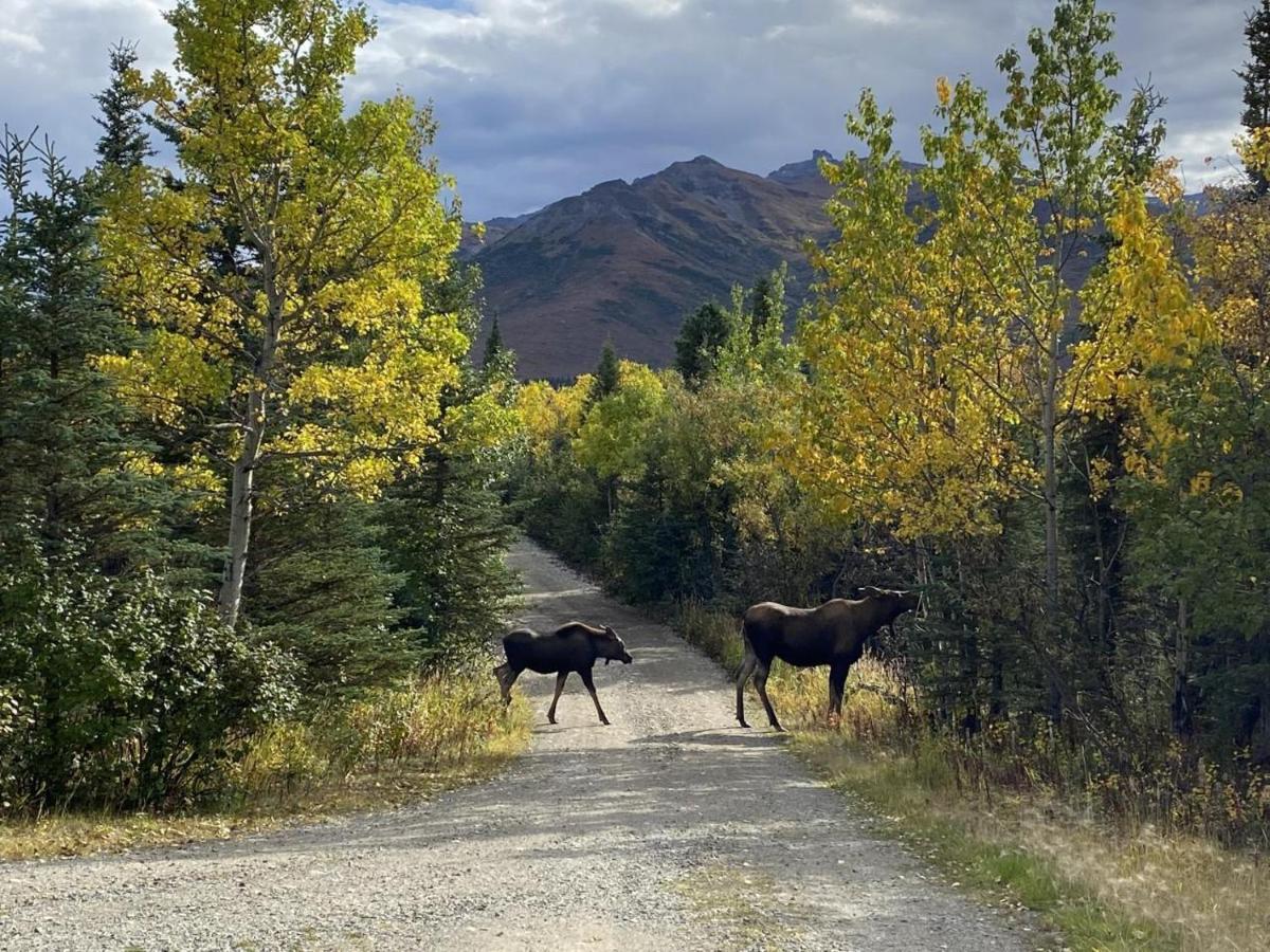 Denali Park View House Villa Healy Eksteriør bilde